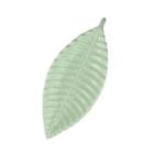 191296143806 Northlight Seasonal Minty Sage Green Textured Ceramic Leaf