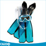 Cressi Kit Rondinella Snorkel Set For Dive Snorkeling Mask Fins