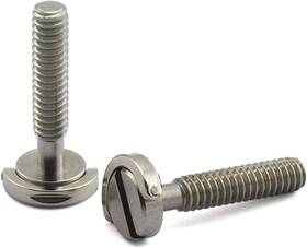 Cads-1420x30-2 Hj Garden 2pcs 1/4-20 Thread D-ring Stainless Steel Camera 1/4 Inch -20x30mm
