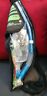 Uc3325p Tusa Sport Snorkel Mask Goggles Set Imprex Dry 983608486864