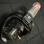 Bestway Hydroswim Seaclear Snorkel Mask L/xl Black. Fixed Price $55.00.