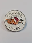 Cozumel Mexico Diver Souvenir Lapel Pin. Fixed Price $9.00.
