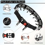 Reflective Prong Dog Training Collar No-pull Pinch Choke With Comfort Tip. Fixed Price $26.49.