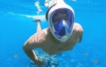 See Reef Full Face Snorkel Mask Size Adult Small/medium. Fixed Price $34.70.