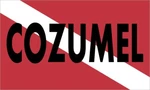 5IN X 3IN Cozumel Scuba Diver Down Flag Sticker Car Truck Vehicle Bumper Decal. Fixed Price $8.99.