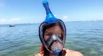 Wave Snorkel Mask Full Face With 180 View Anti-fog L/xl Blue. Fixed Price $18.00.