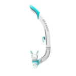 Oceanic Ultra Semi-dry Snorkel. Fixed Price $48.00.