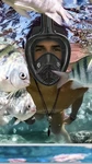 Qingsong Full Face Mask Adults, Snorkeling Gear Camera Mount Black New. Fixed Price $13.95.