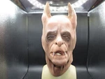 Greyland Film Frank Soft Latex Mask. Fixed Price $61.33.