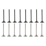 Wflnhb Intake Air-out Engine Valves Replacement For Gm 2.0L 2.2L 2.4L Ecotec Doh. Fixed Price $60.30.
