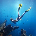 Zeeporte Dive Snorkeling Gear - Mask Fins Set S/m Black/yellow. Fixed Price $32.19.